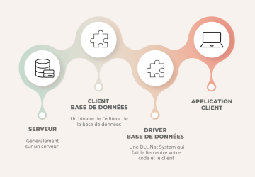 Graphique compatibilité serveur-version-driver